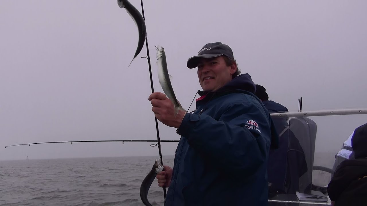 Auf Hering vor der Halbinsel Peenemünde, Heringsangeln vom MolaBeach-Charterboot mit Guide