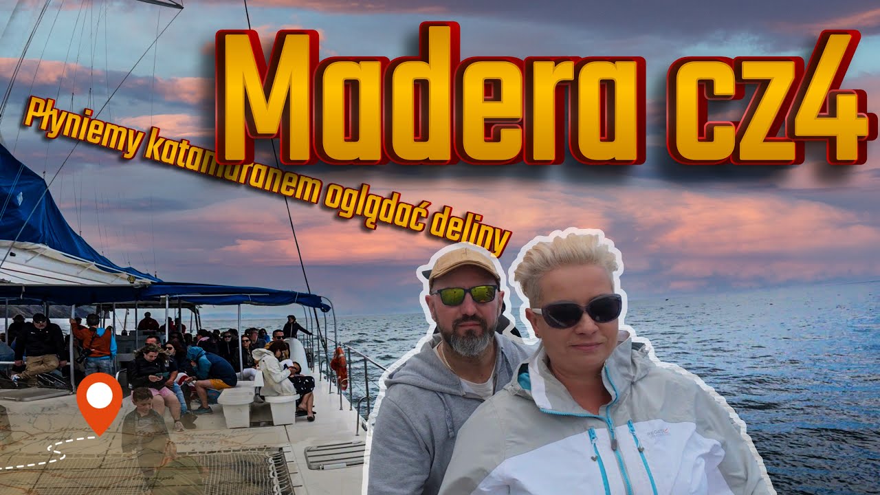 Odkryj uroki Madery podczas rejsu katamaranem na delfiny!