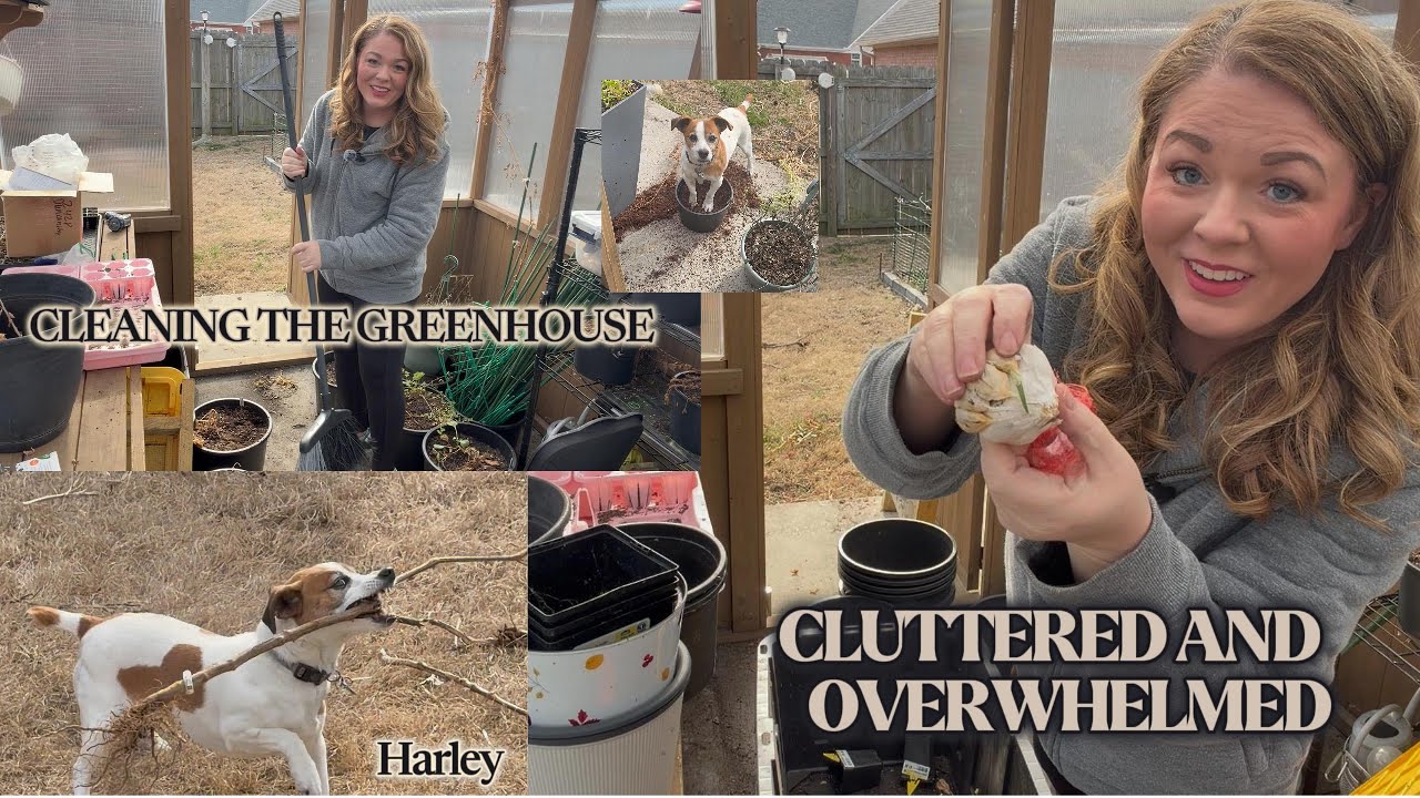 Cleaning the Greenhouse