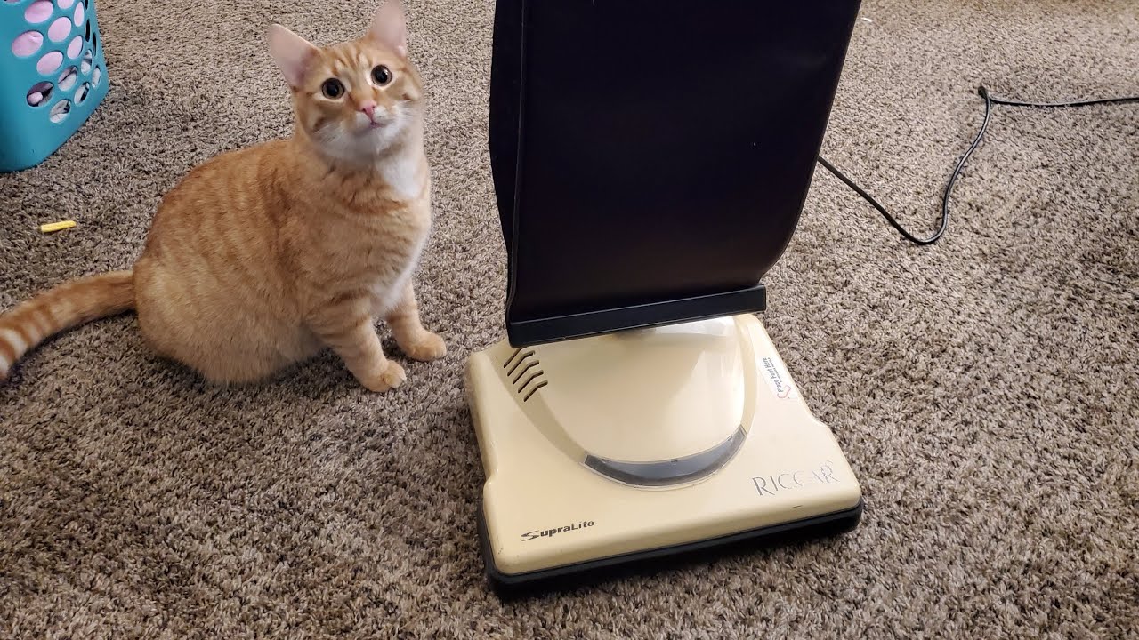 Riccar Supralite Vacuum Review (RSL1A)