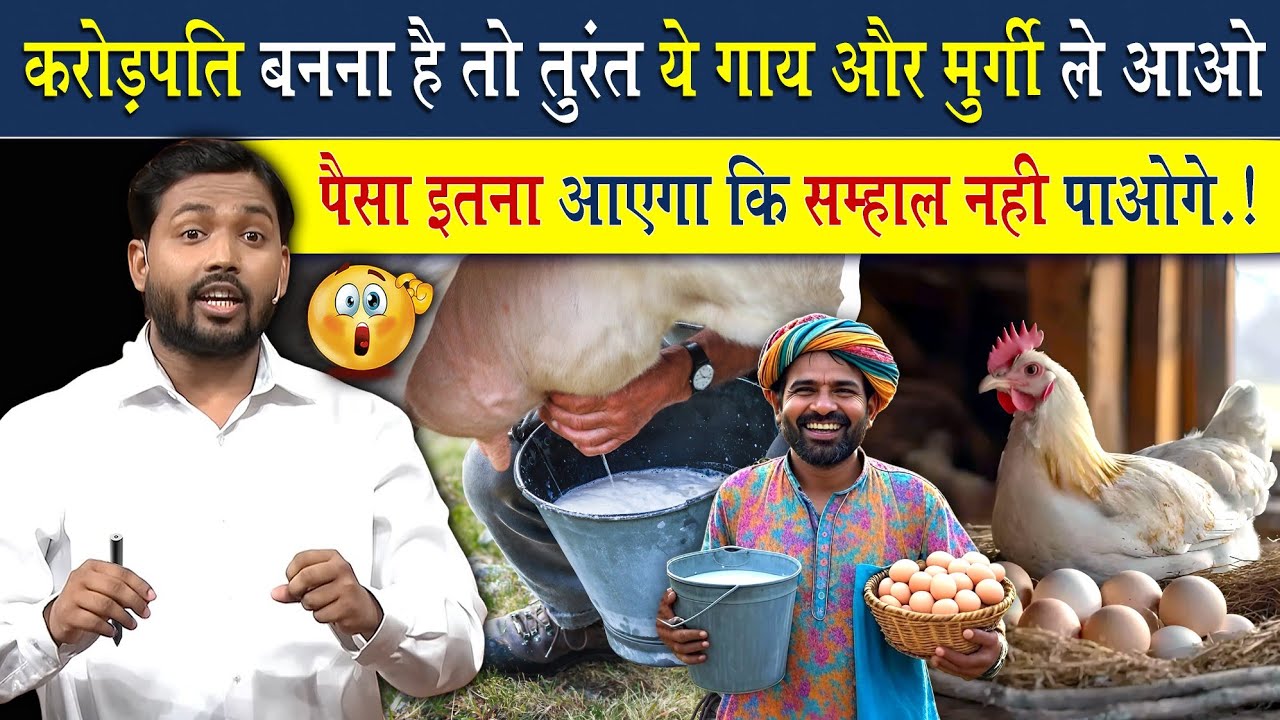 तुरंत करोड़पति बनना है तो ये गाय और मुर्गी ले आओ | इतना पैसा आएगा की संभाल नहीं पाओगे