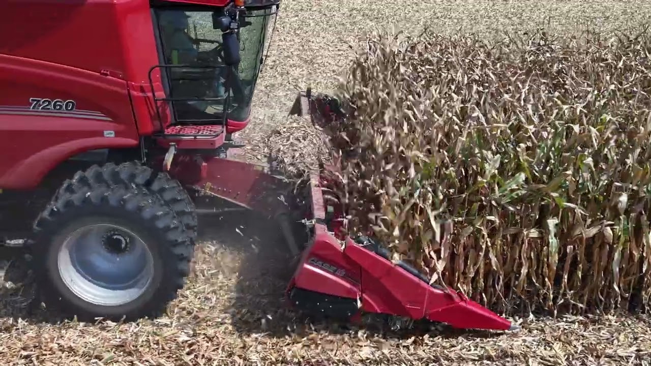 The Harvest of 2025 . Case International 7260 Combine  and Magnum 325.