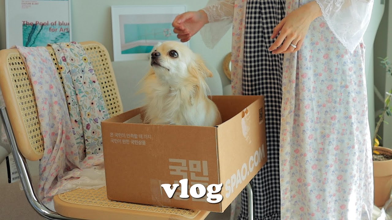 vlog • 솜 언박싱ㅣ잠옷대량구입ㅣ손가락골절ㅣ옥수수빙수ㅣ운전연습ㅣ두부덮밥ㅣ달달한 신혼