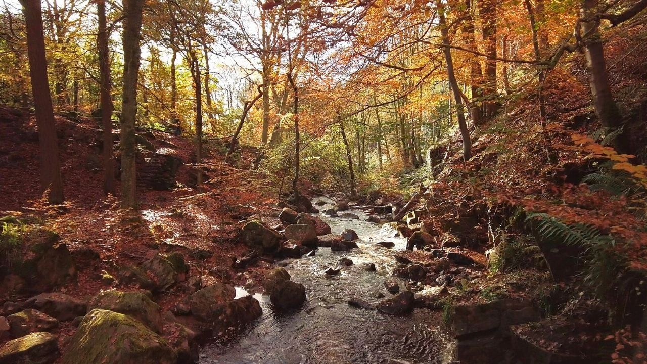 Padley Gorge Autumn Walk, English Countryside 4K