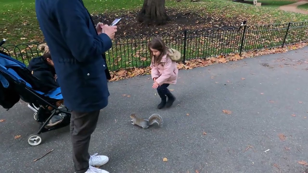 Hyde Park, London - Autumn walk