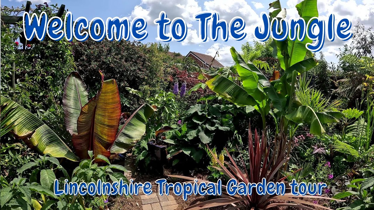 Welcome to the Jungle - Lincolnshire Tropical Garden Tour