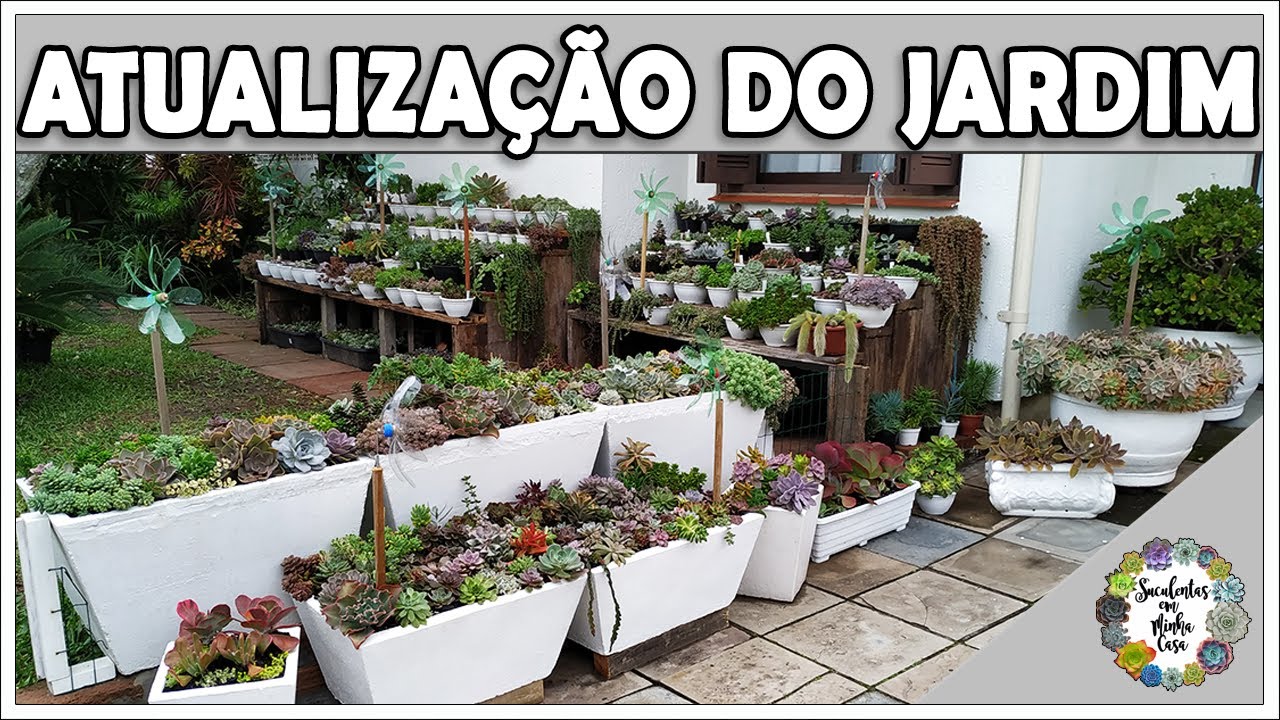 Tour e Atualização do Meu Jardim de Suculentas