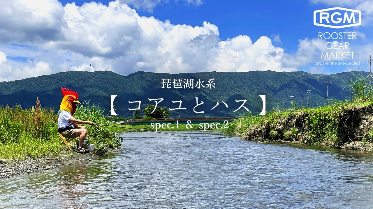 【コアユ釣り ハス釣り】初夏の琵琶湖流入河川の風景