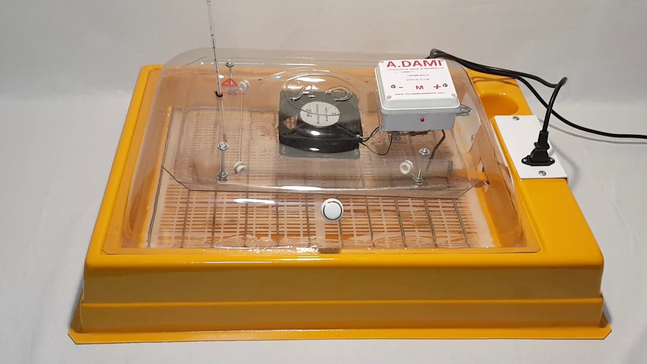 Volteo automático y regulación de temperatura • Incubadora de huevos ADAMI