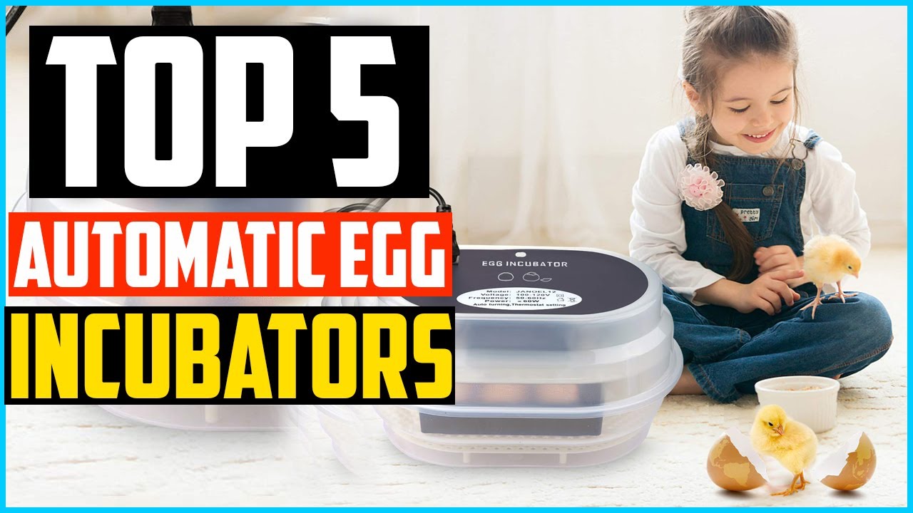 Top 5 Best Automatic Egg Incubators for Chicken Buying Guide 2025