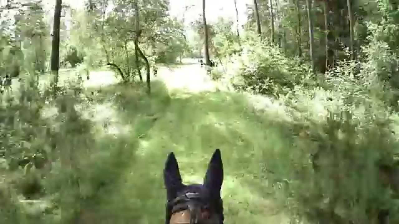 Cambox ISIS - Michael JUNG sur le cross de Luhmühlen CCI 4*