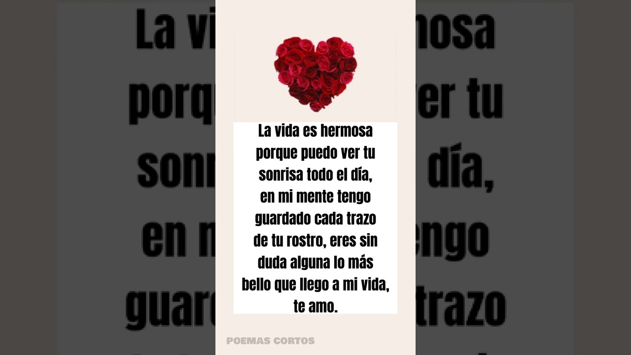 TE AMO ❤️