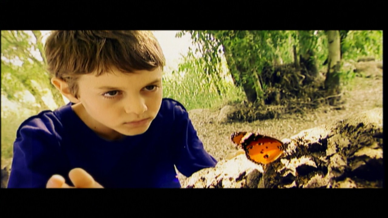 מאיר בנאי – בשם האהבה