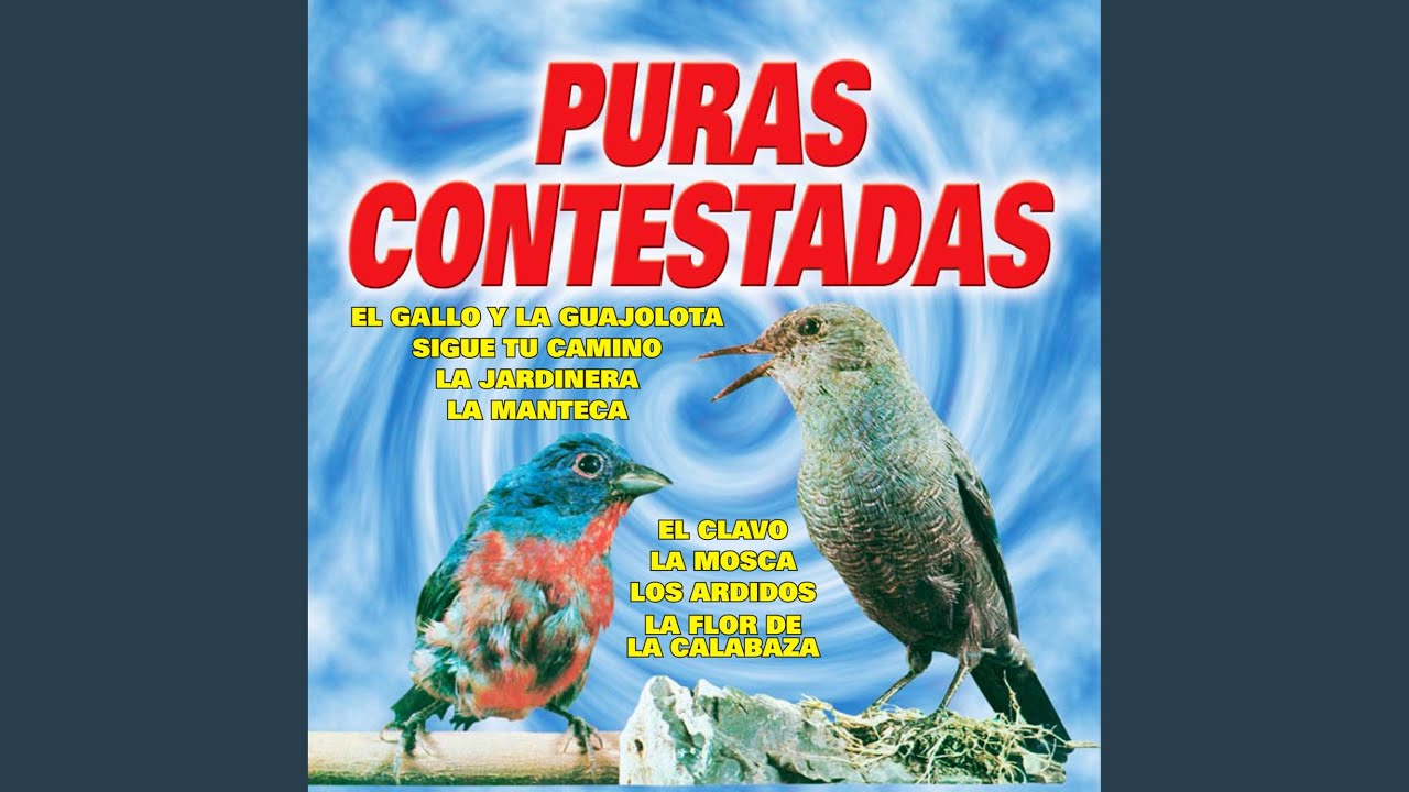 El Clavo