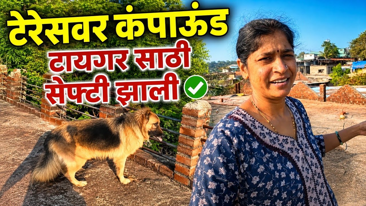 टायगरसाठी सेफ्टी झाली टेरेसवर कंपाउंड बनवले.