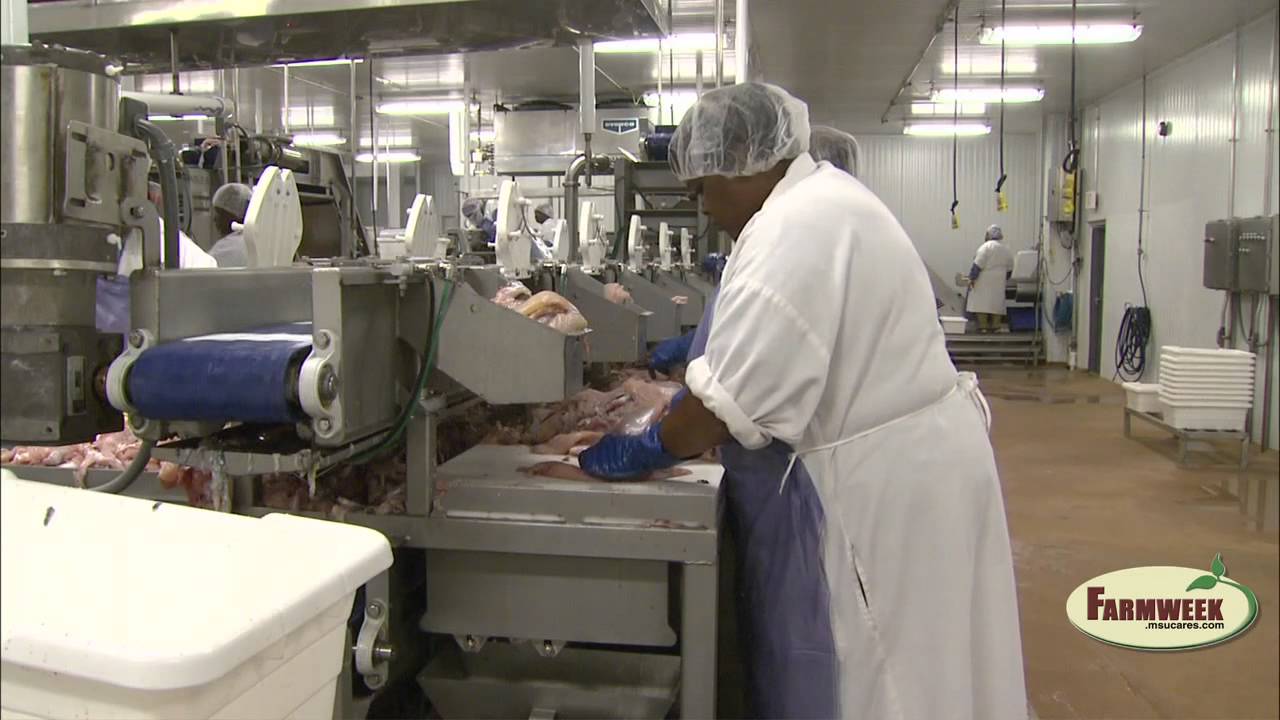 Catfish Processor Makes Being 