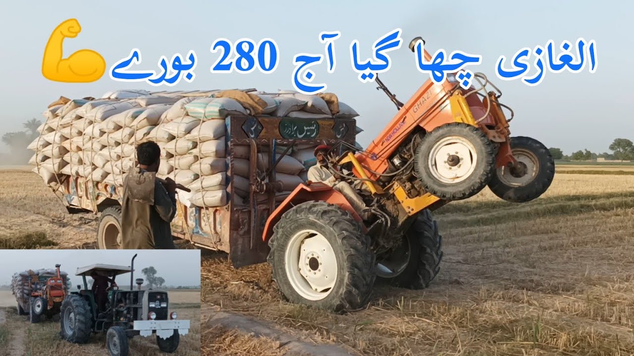 Stunts of Algazi fiat 480 with 280 wheat bags Tractor 44