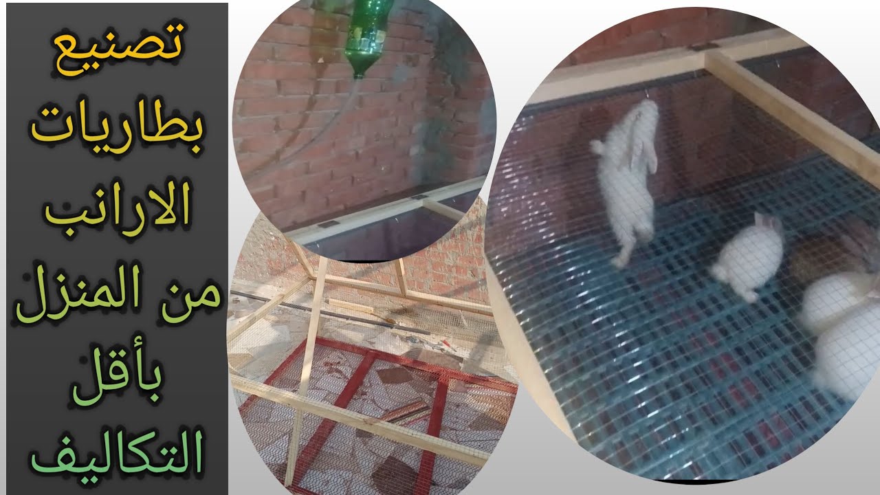 تصنيع بطاريات الارانب