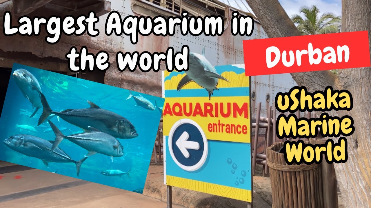 uShaka Marine World | The largest Aquarium in Africa | Durban | South Africa