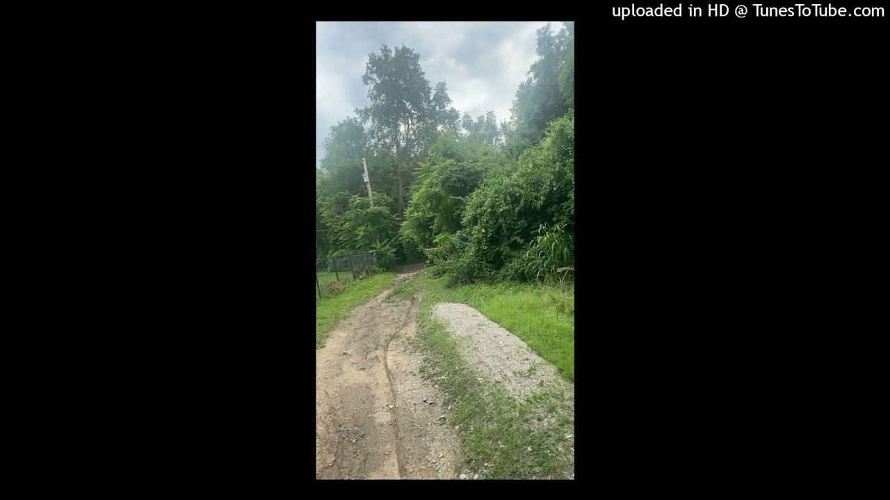 BACKBABYK - PushUpShooting