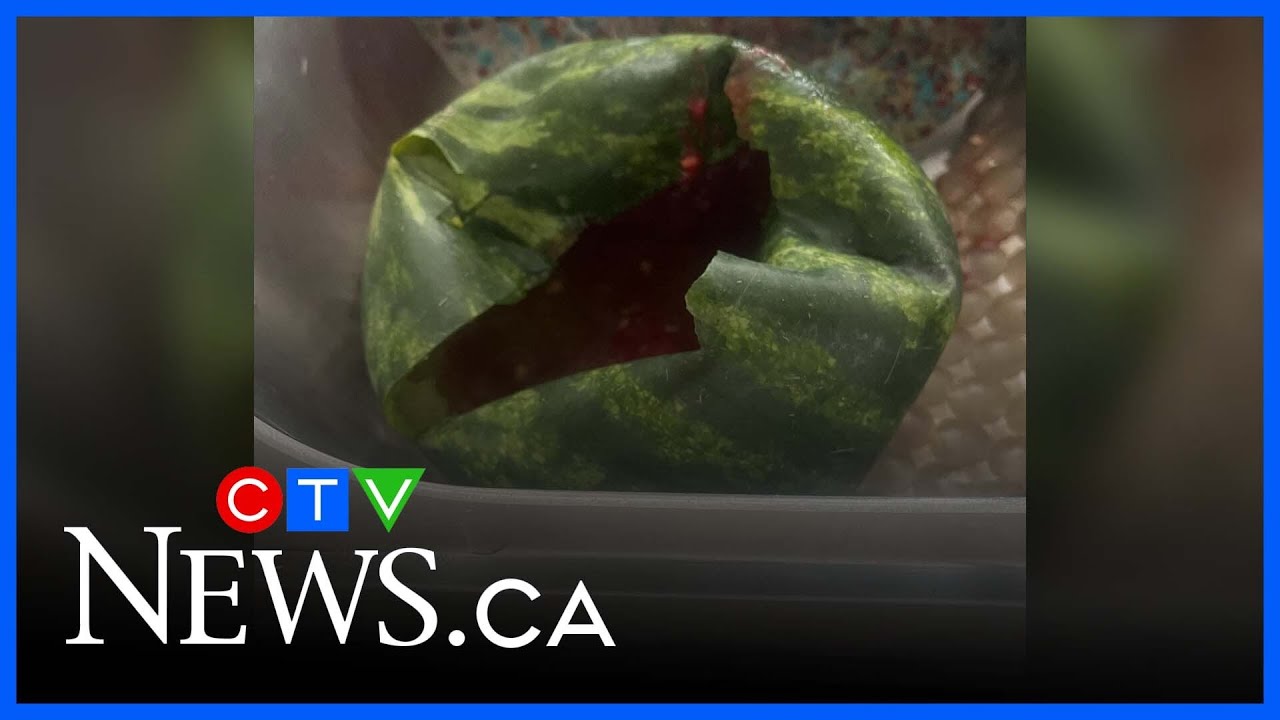 Montrealer surprised over exploding watermelons