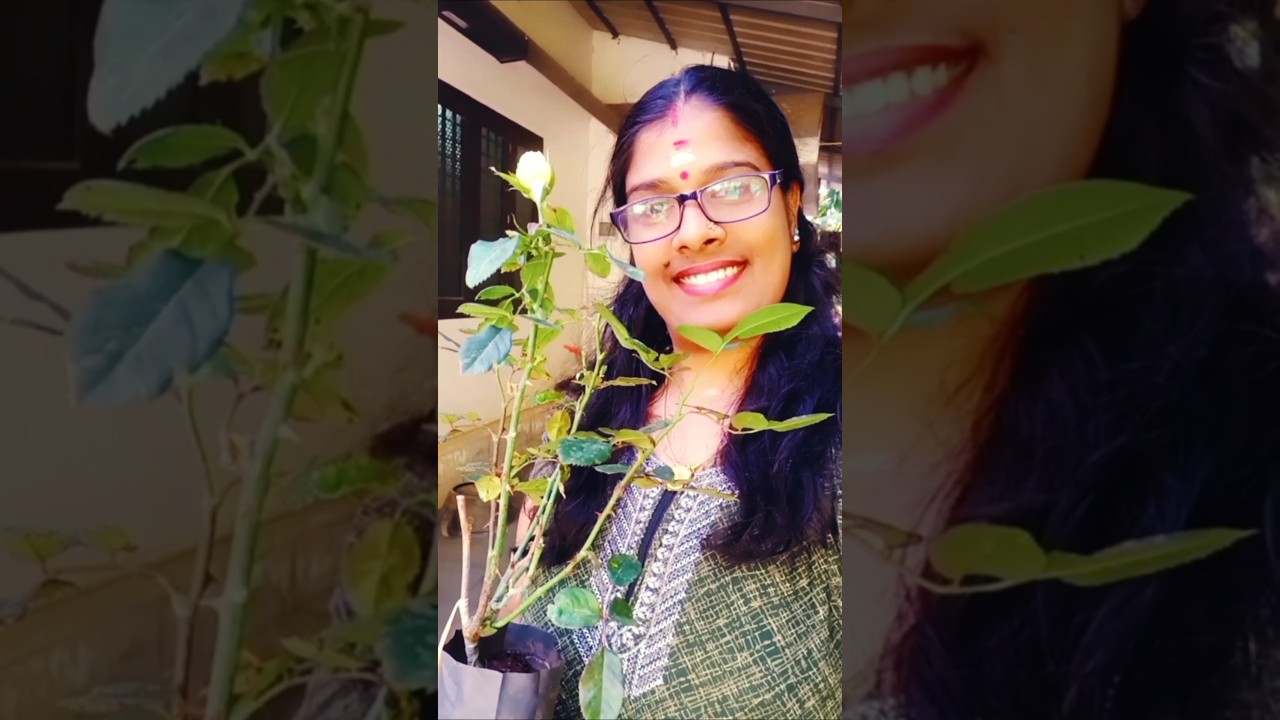 ഇപ്പോഴത്തെ കാലാവസ്ഥയിൽ ചെടികൾ ഹാപ്പിയാണ്...❤️ 