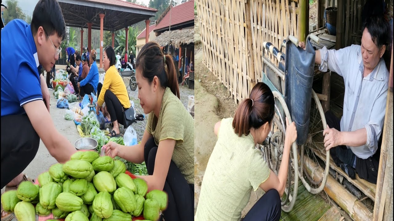 Harvesting Chayote arden goes to the market sell - Gardening - Country life