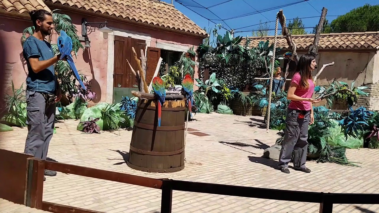 Spettacolo dei pappagalli - Parrots show - Oltremare Luglio 2017