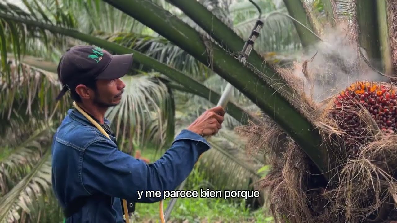 ¿El futuro del agro está en los datos? Ingeniero Agrónomo responde