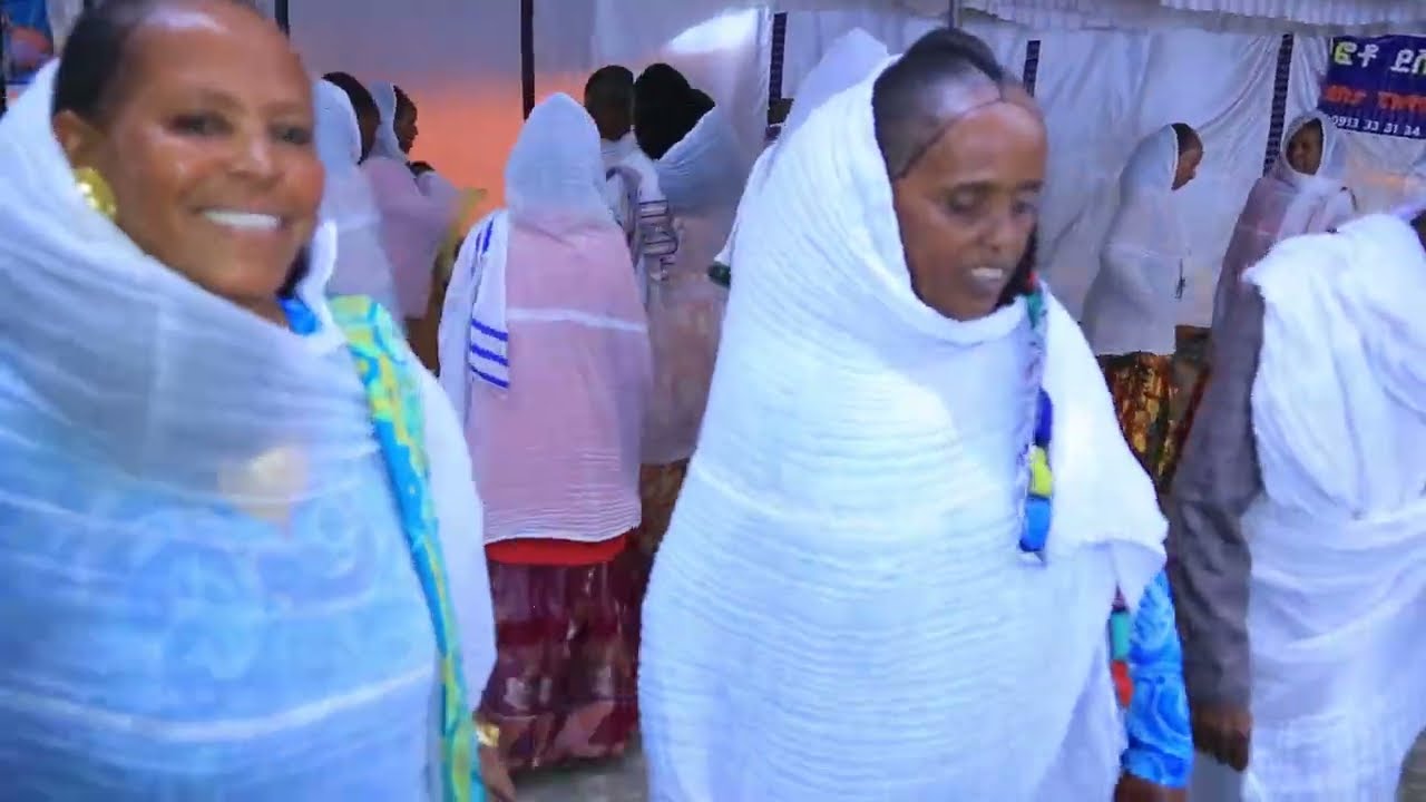Amazing Tigray wedding  ገራሚ መርዓ ትግራይ part 229 / Tigrigna wedding Music /weni Entertainment ወነይ Tube 