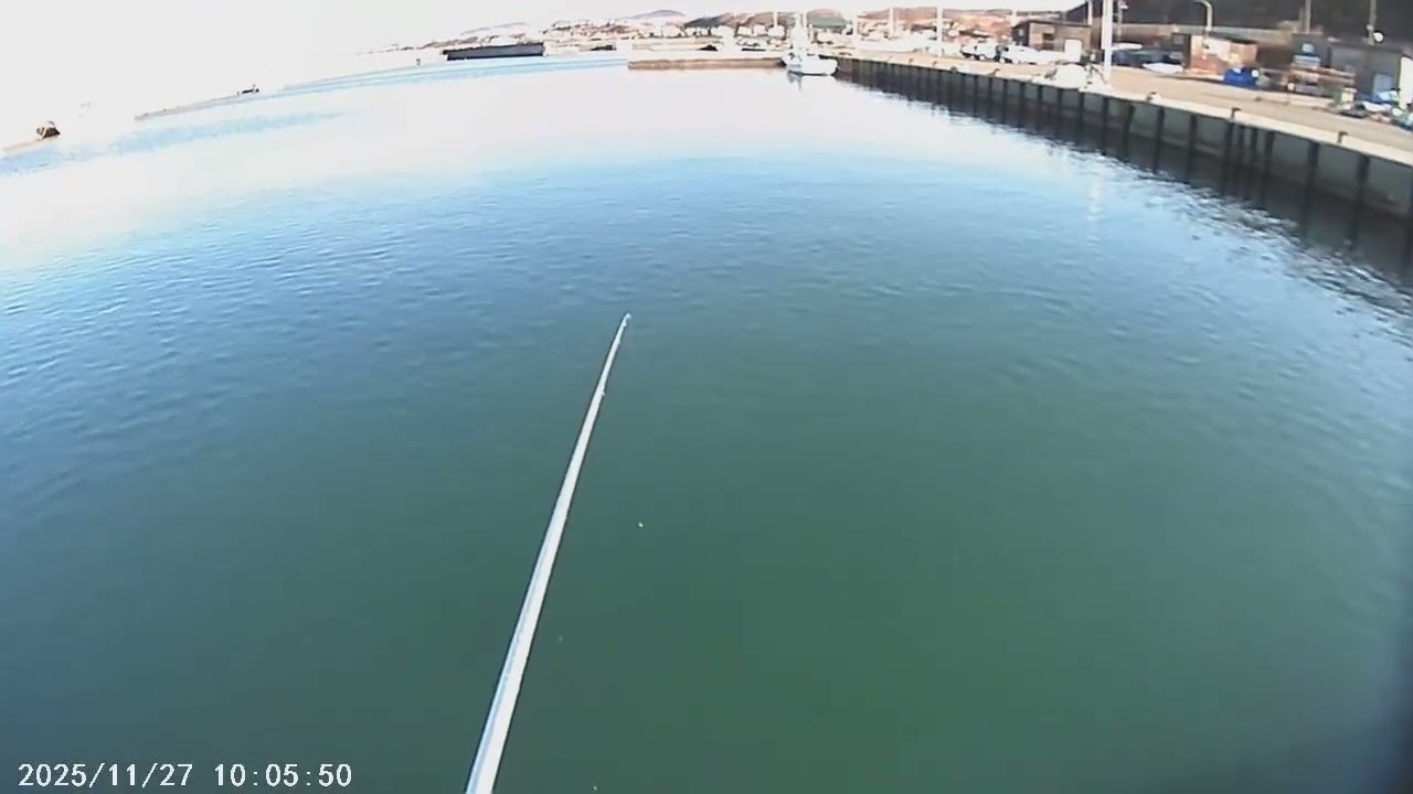 北海道留萌で、チカを数匹釣った動画
