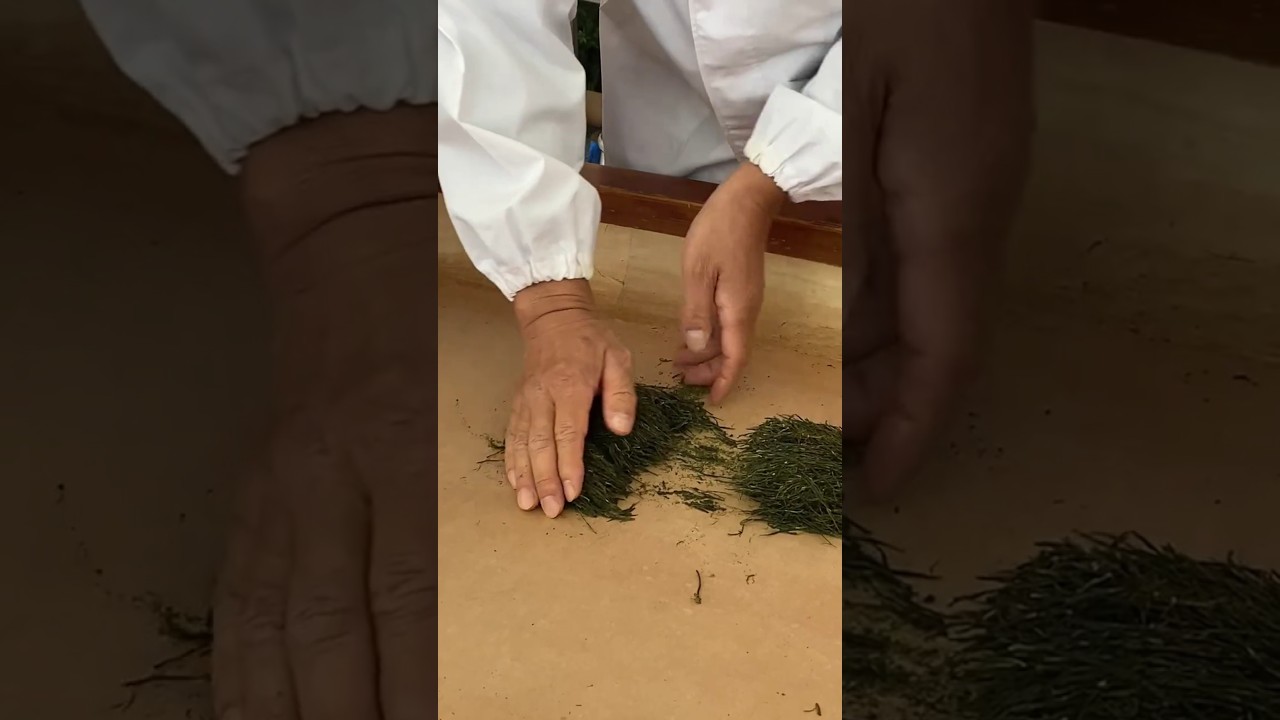 Images of Japan: Rolling and Kneading Japanese Green Tea