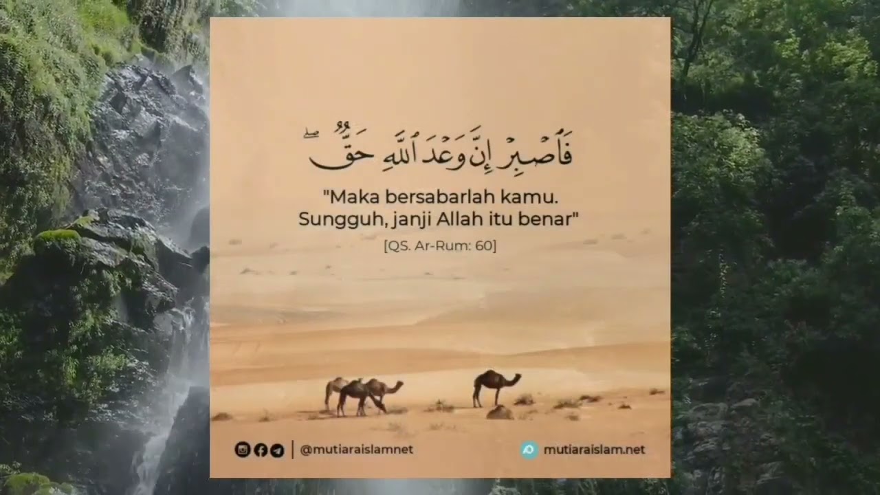 kata mutiara dalam al-qur'an.#allah #solawat #nabimuhammad #kontenislam