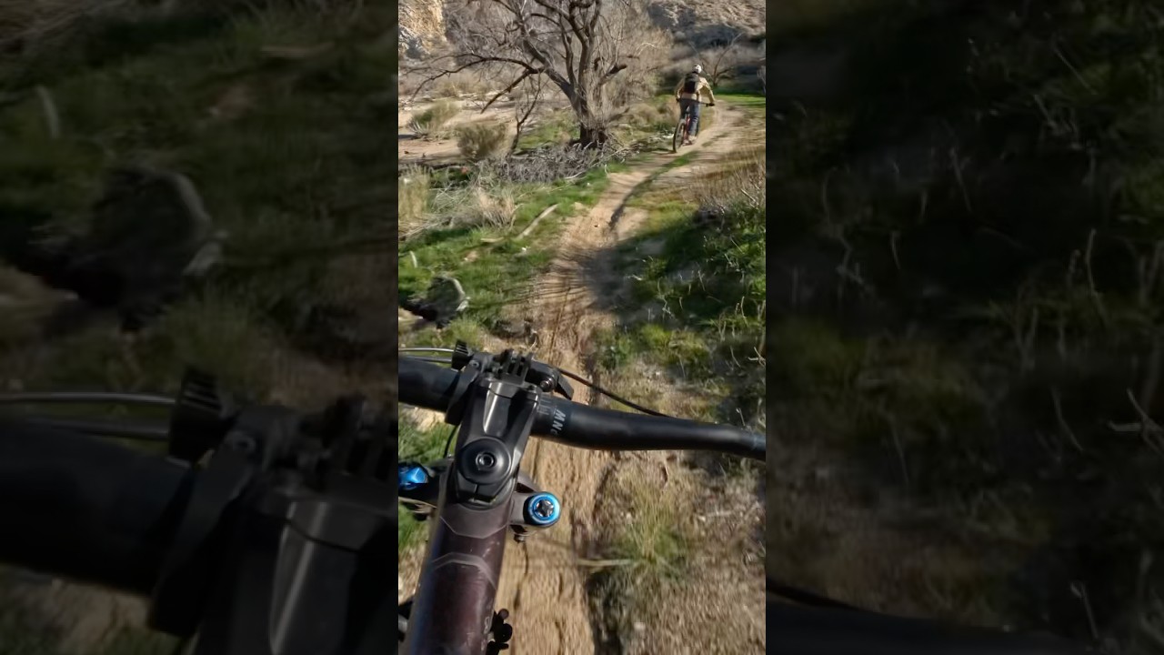 #MTB #ГорныйВелоспорт #ЭндуроMTB #ЖивописныеВиды #ПалмСпрингс #обзоргоры #синглтрек #даунхилл