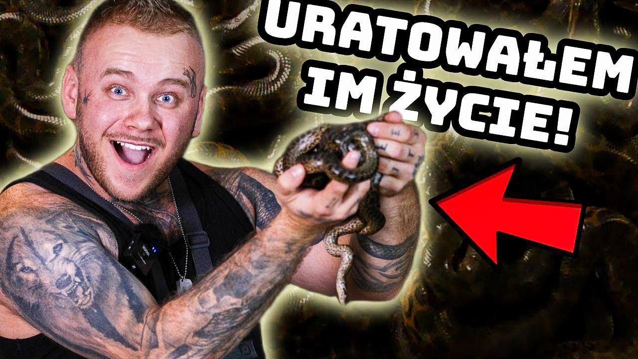 PORÓD ANAKONDY! TRAGICZNY WYPADEK!