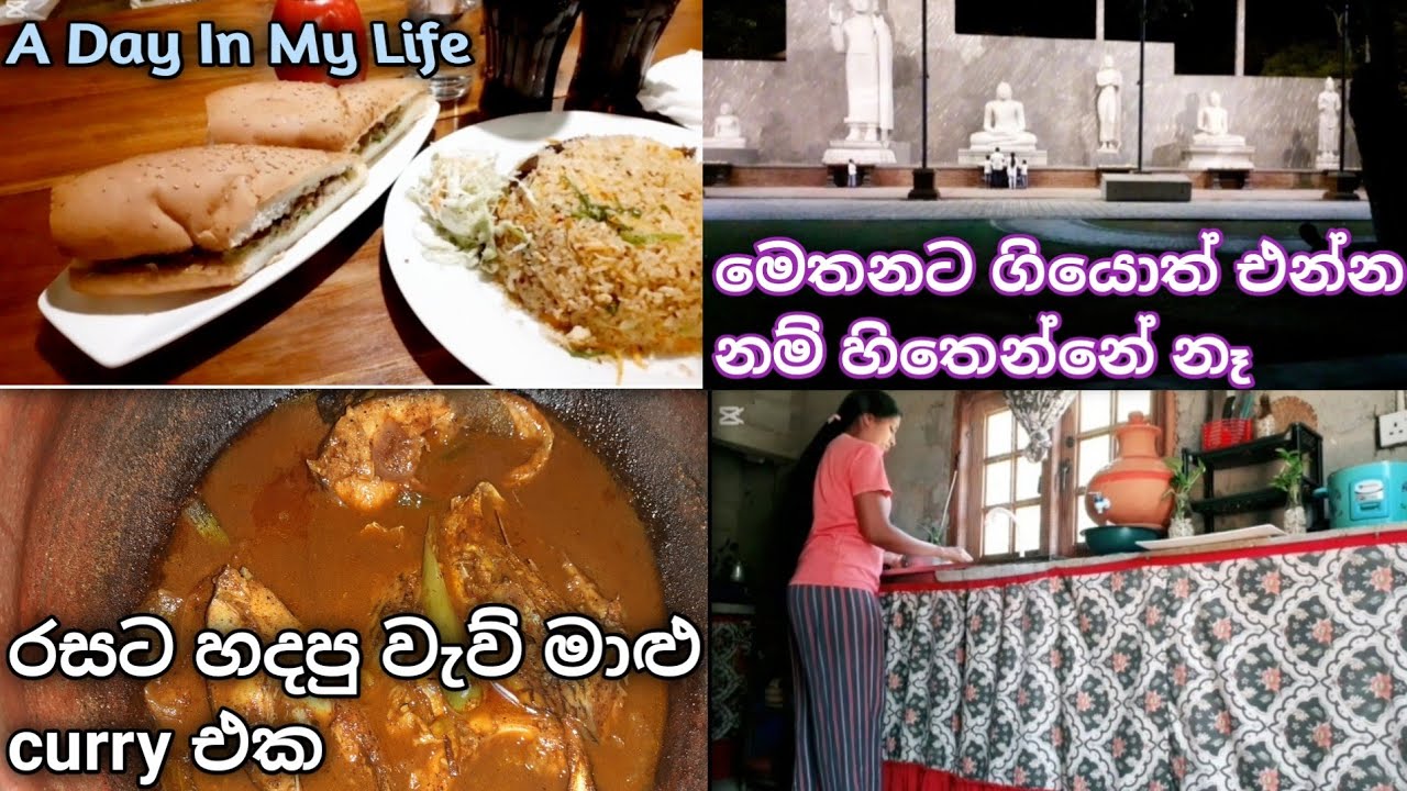 මගේ ජීවිතයේ එක ලස්සන දවසක් 💞 |රසට හදපු වැව් මාළු curry එක 🥘 |Day in my life @Sewwandi96 