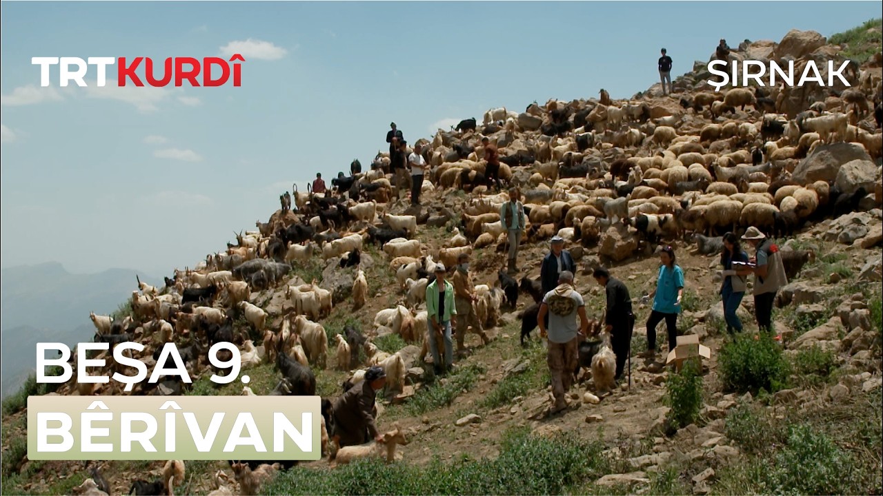 Bêrîvan - Beşa 9.(Şırnak)
