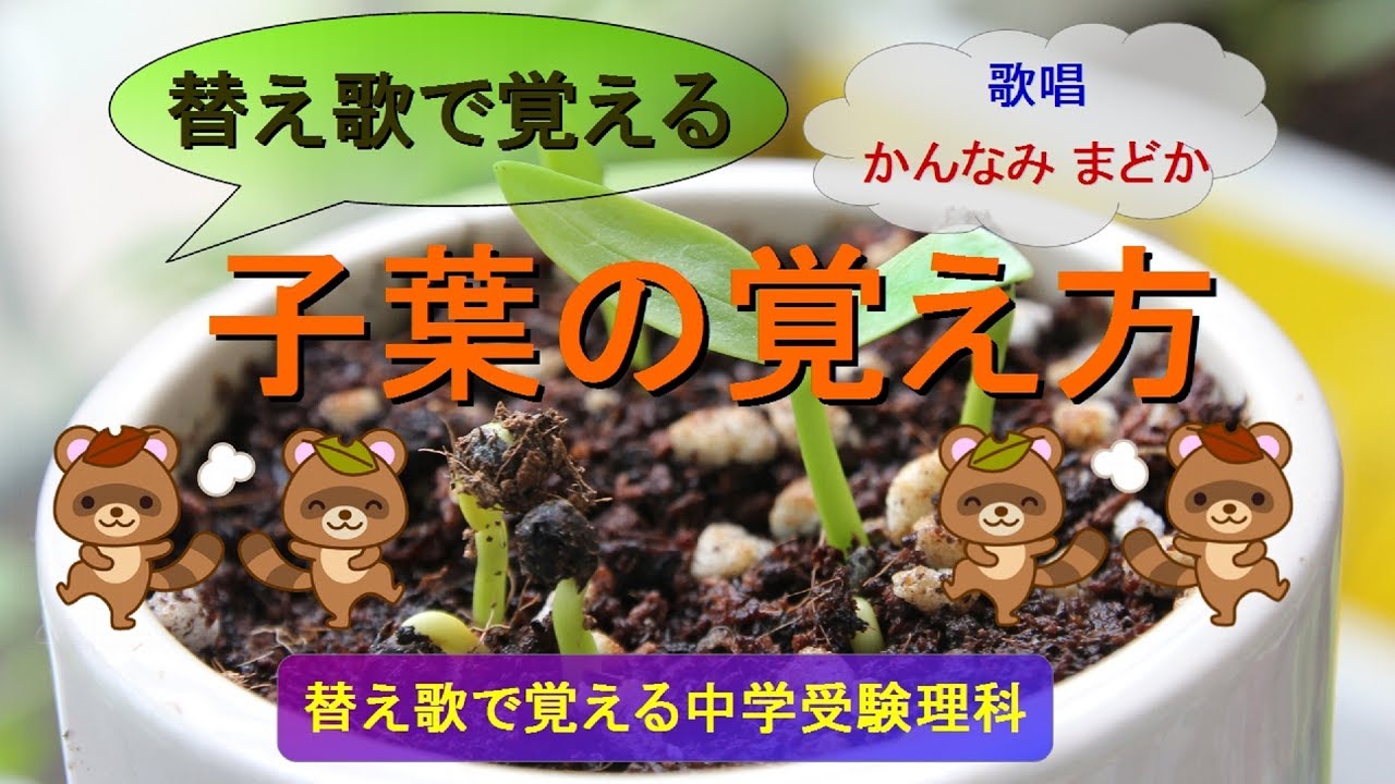 【替え歌で覚える】子葉の覚え方（歌唱：かんなみ まどか）