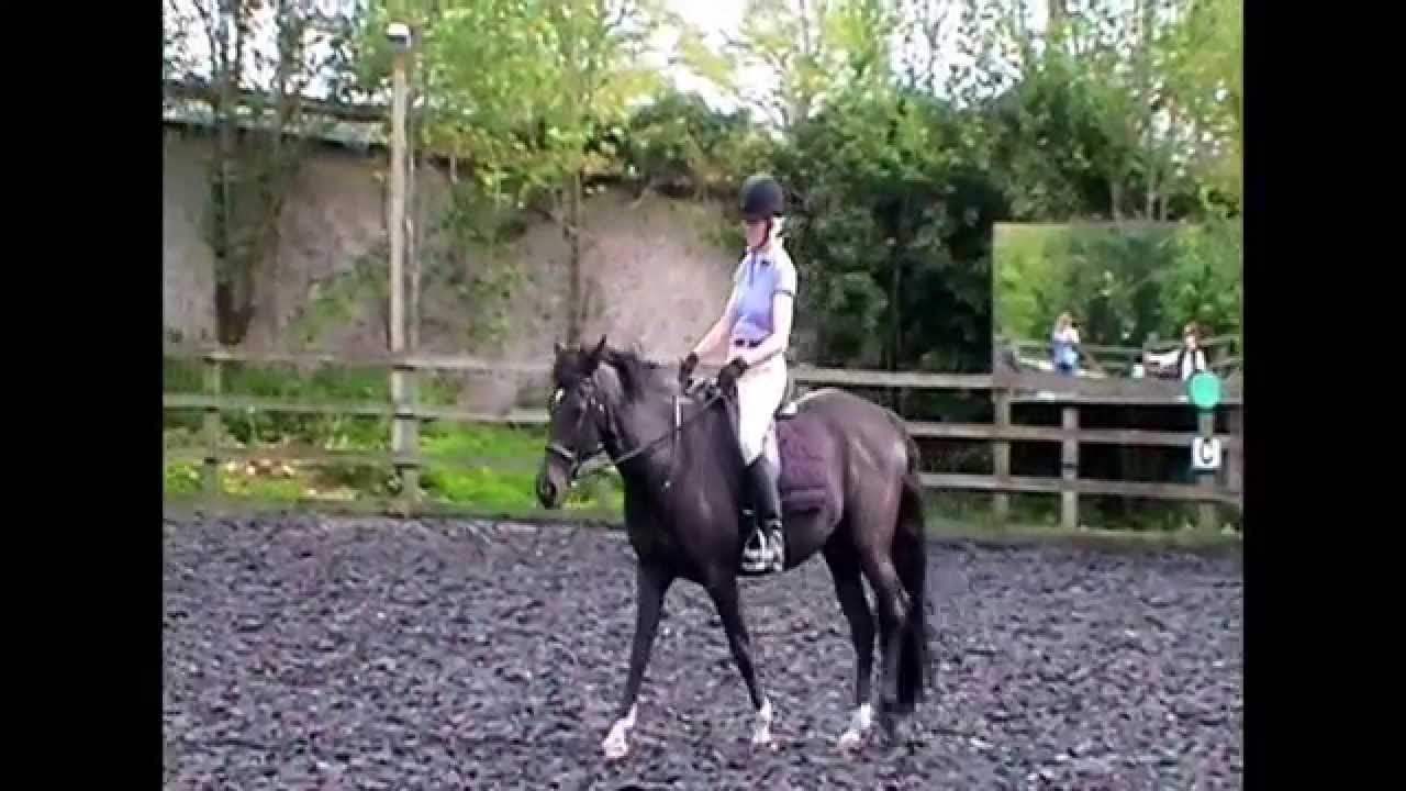🐴 Lower back pain when horse riding? Here's our top tips for common issues