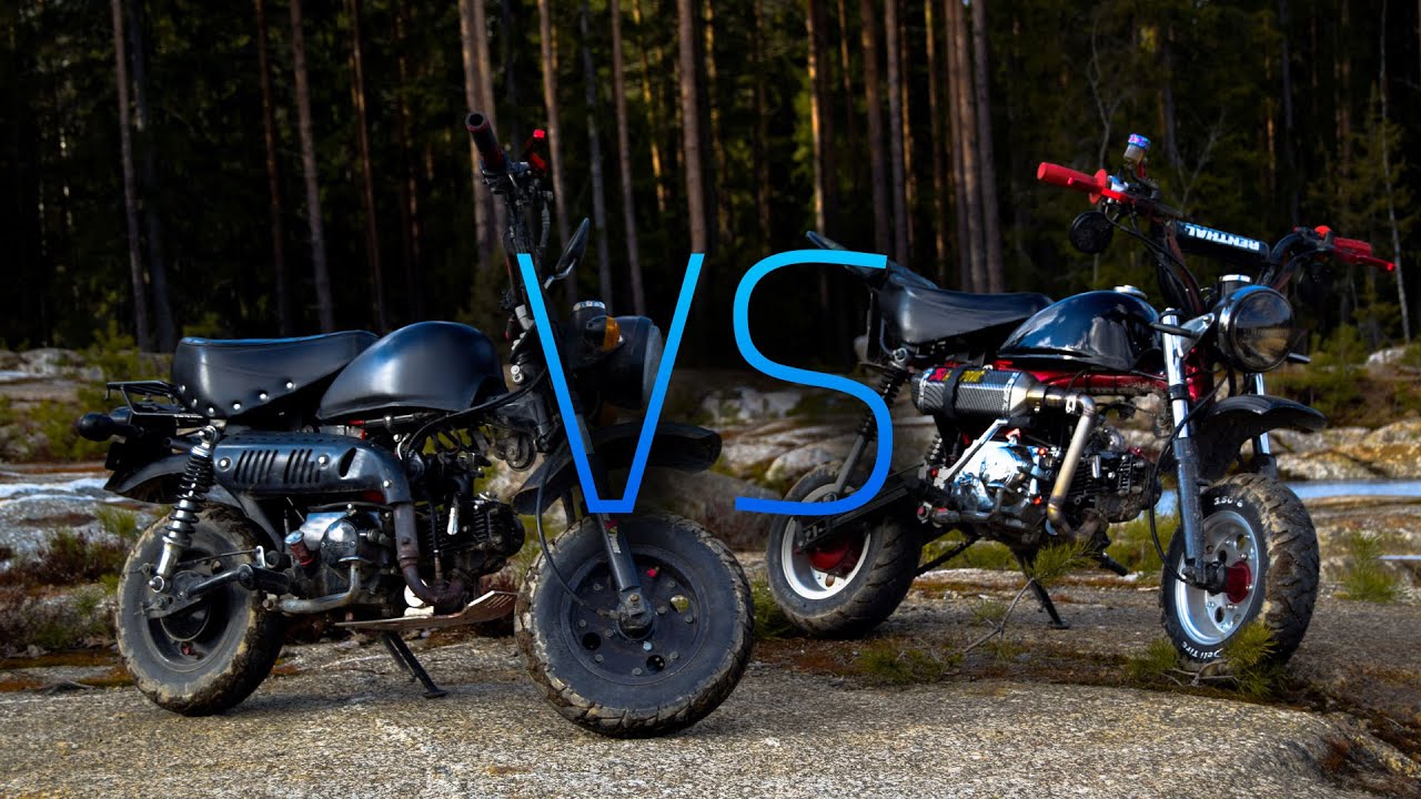 Ruisku vs kaasari | Viivoilla