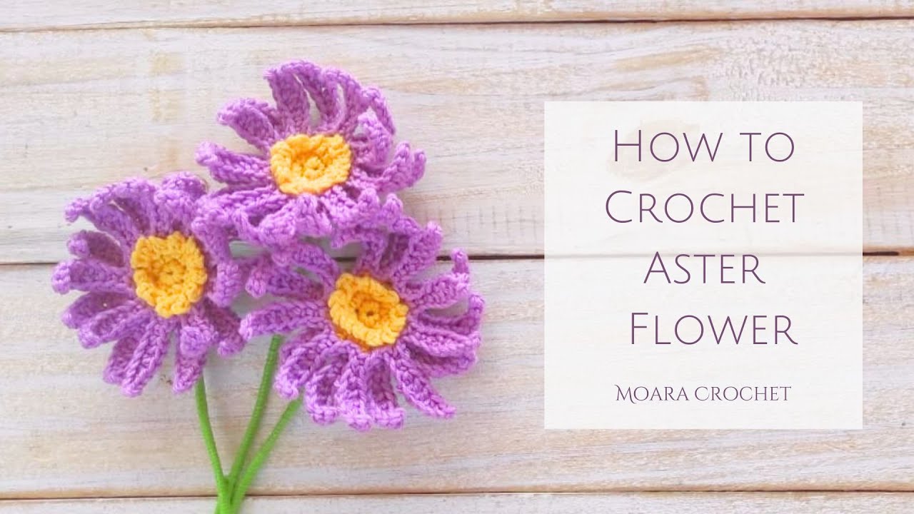 Crochet Aster Flower   Moara Crochet