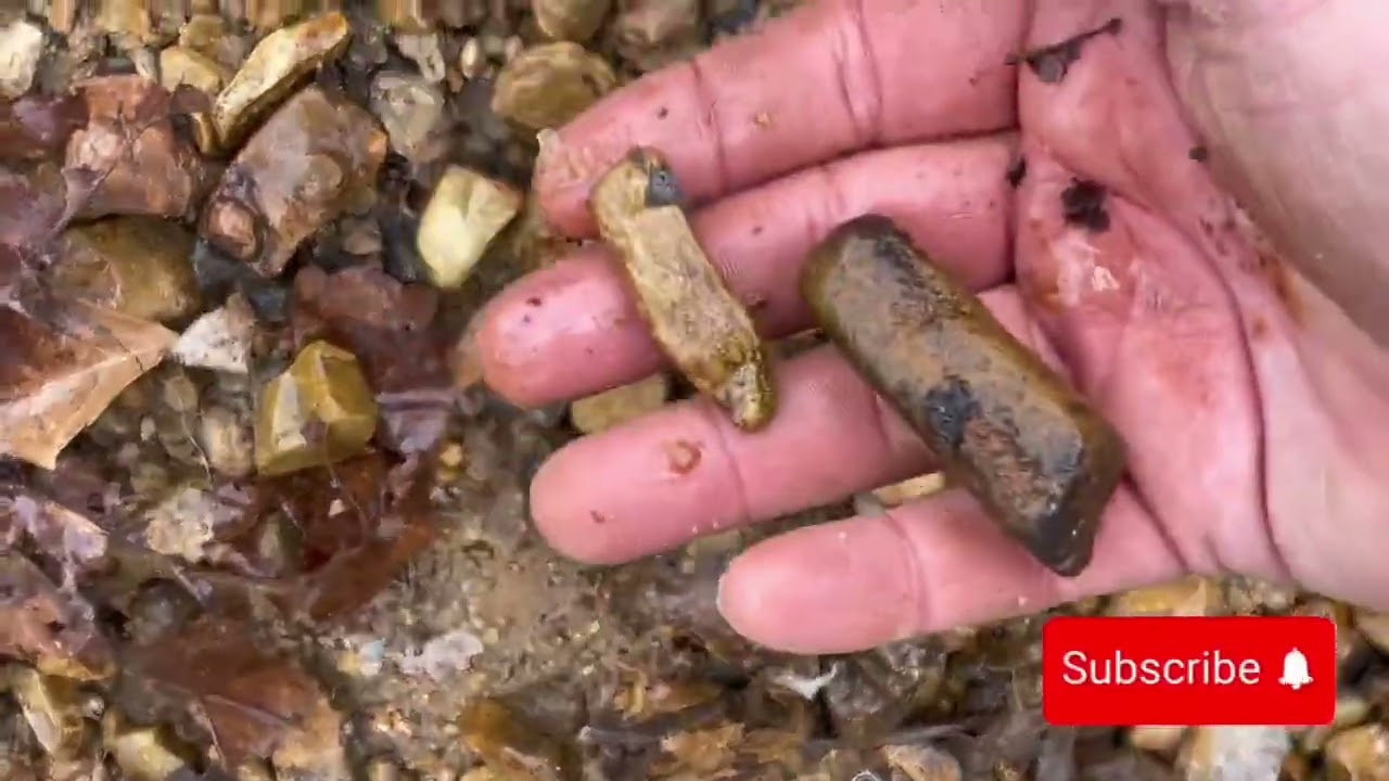 Arrowhead hunting 