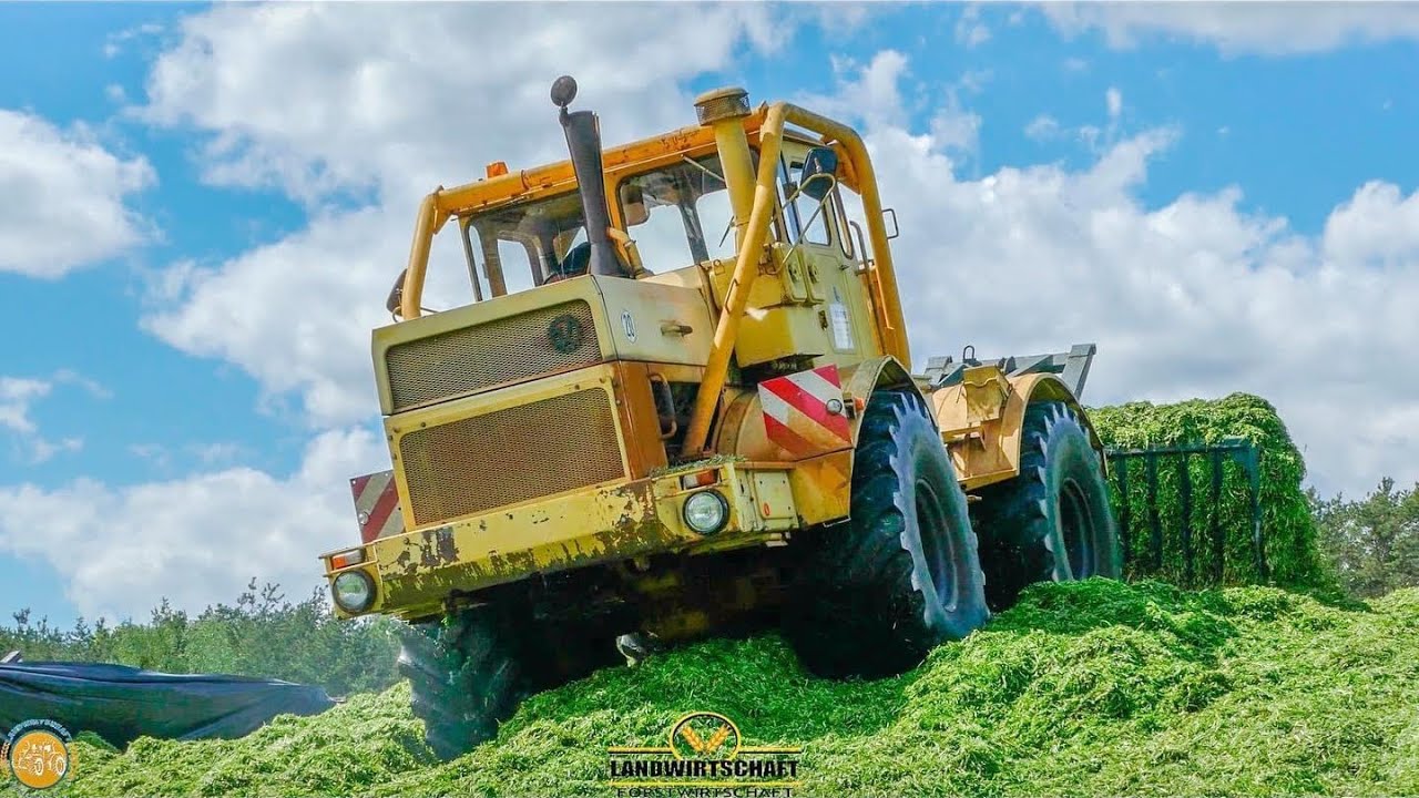 Silieren-Verdichten  K-701 & CLAAS SCORPION 7055 Roggen Silieren und Walzen Case ih 290 Magnum