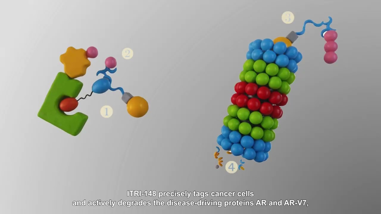 Novel Therapeutic Approach for Castration Resistant Prostate Cancer