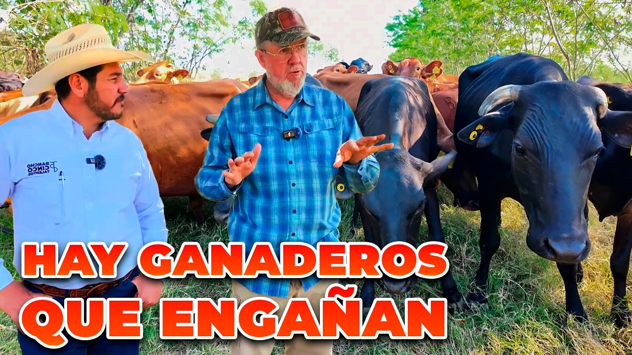 GANADEROS QUE ENGAÑAN, NO SON GANADEROS | Jaime Elizondo | Rancho Cinco Talentos