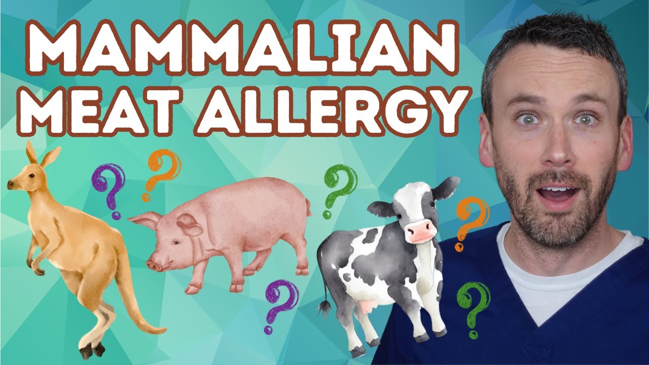 Can You be Allergic to Meat??