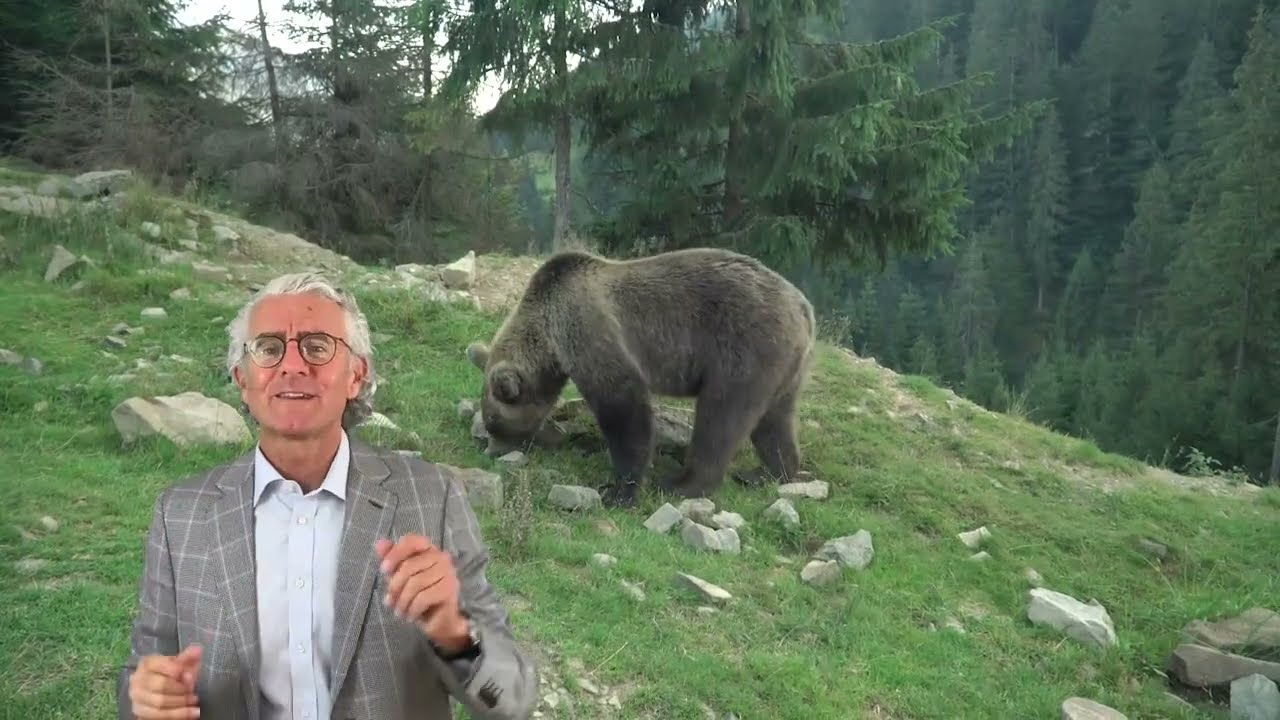 Loss Aversion with Prof. Giuseppe Conti