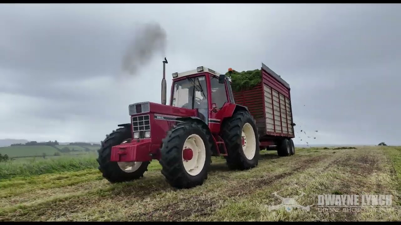 Elho Double chop, International 956 heaven. Second cut silage is a go with Eugene Clarke