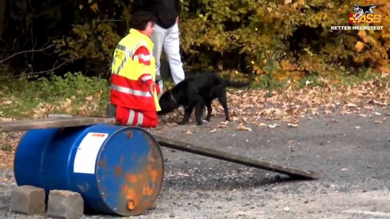 RHS Rettungshundeprüfung 2011
