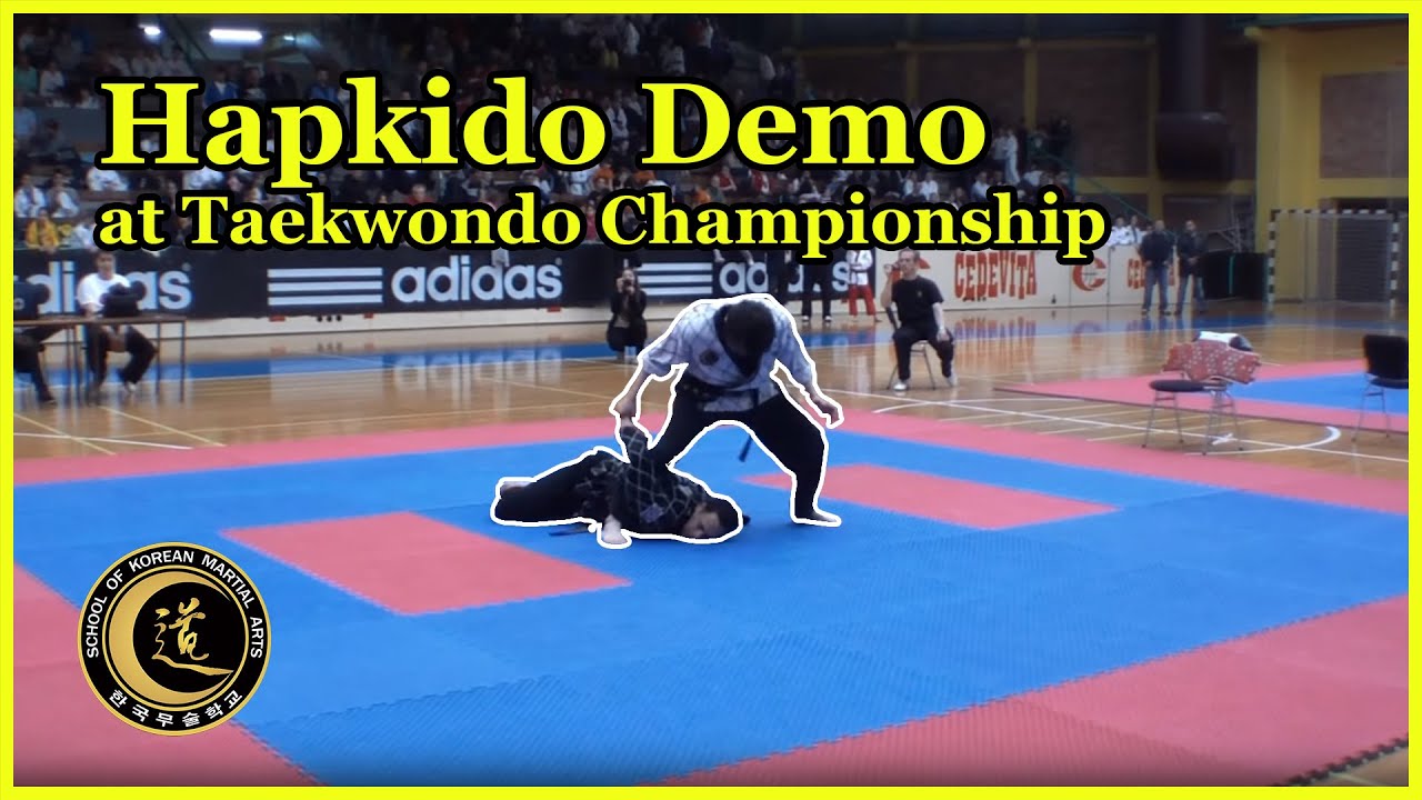 Hapkido & Taekwondo Championship 2014 Croatia, SKMA Hapkido Master Sung shows self defence demo.